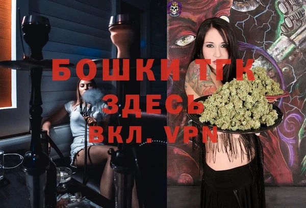 индика Пересвет
