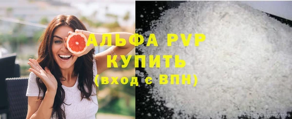 индика Пересвет