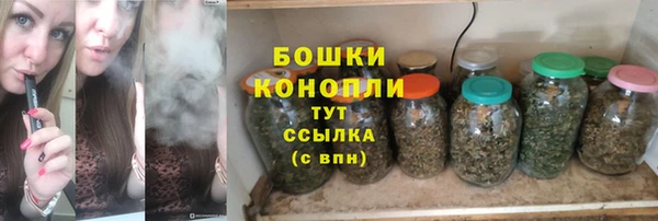 индика Пересвет