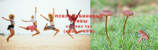 амфетамин Покров