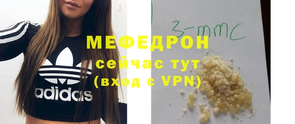 индика Пересвет