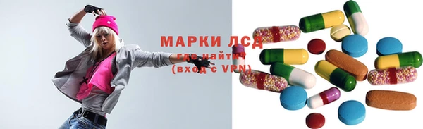 индика Пересвет