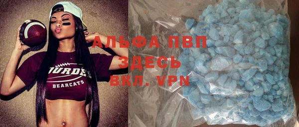 индика Пересвет