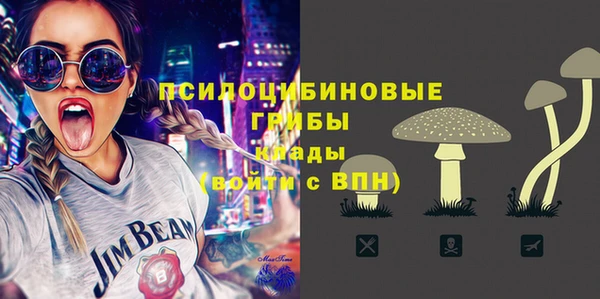 герыч Пестово