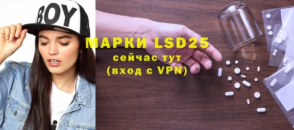 индика Пересвет
