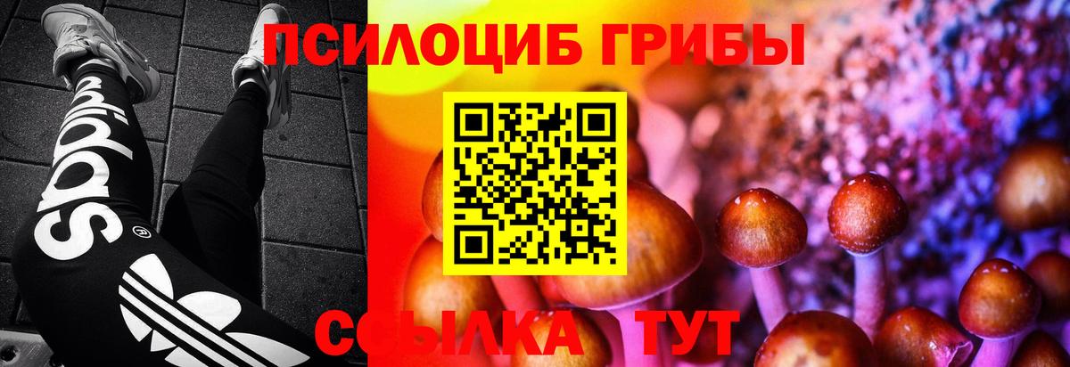 где купить наркоту  Галлюциногенные грибы мухоморы  Вход с VPN  Азнакаево 